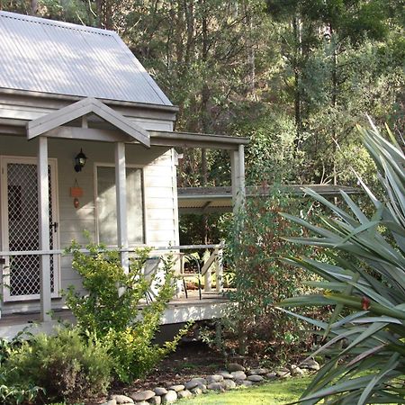 Shady Brook Cottages Harrietville Exterior photo