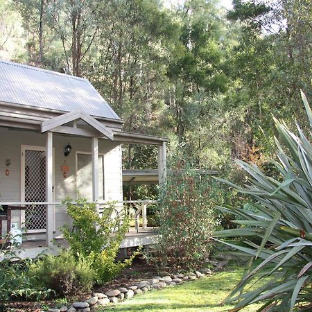 Shady Brook Cottages Harrietville Exterior photo