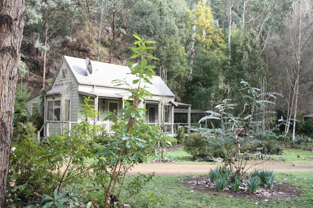 Shady Brook Cottages Harrietville Exterior photo