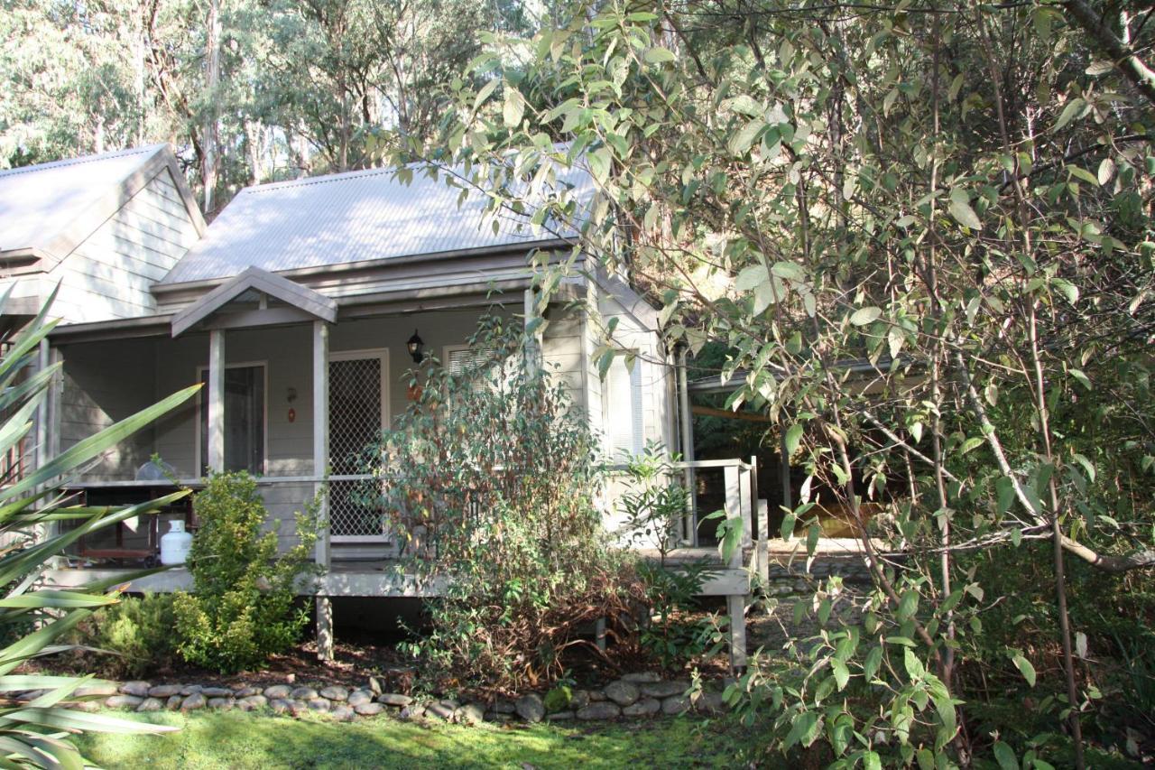Shady Brook Cottages Harrietville Exterior photo