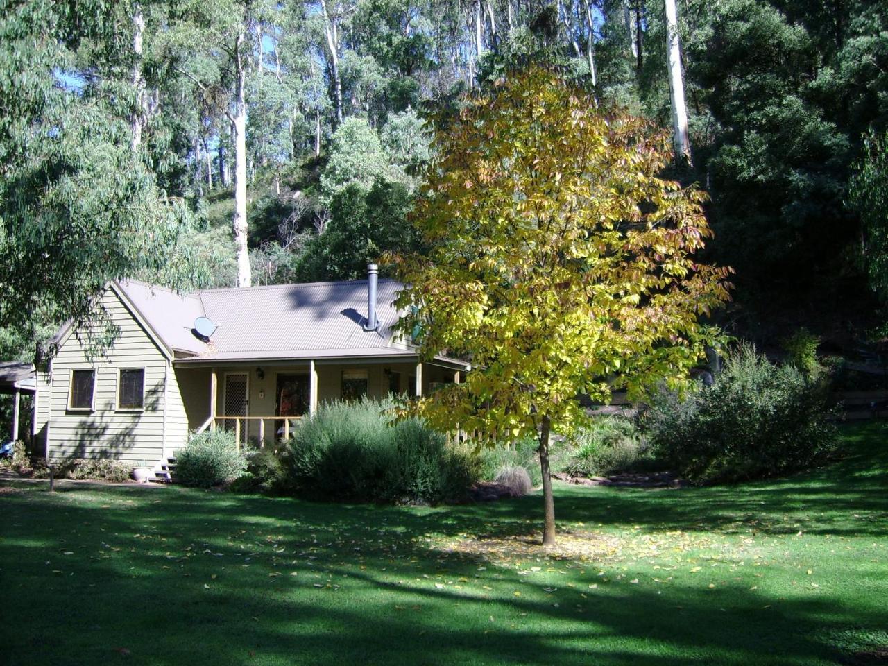 Shady Brook Cottages Harrietville Exterior photo