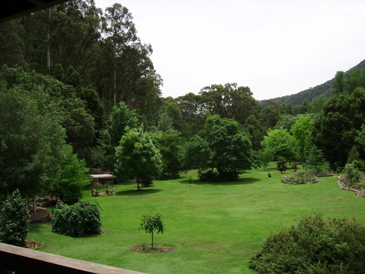 Shady Brook Cottages Harrietville Exterior photo