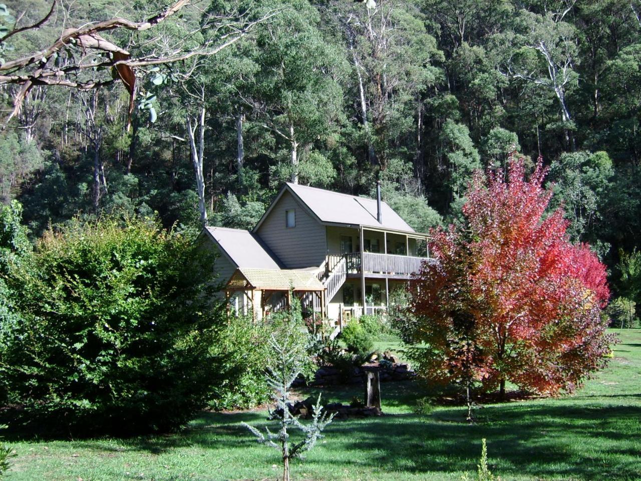 Shady Brook Cottages Harrietville Exterior photo